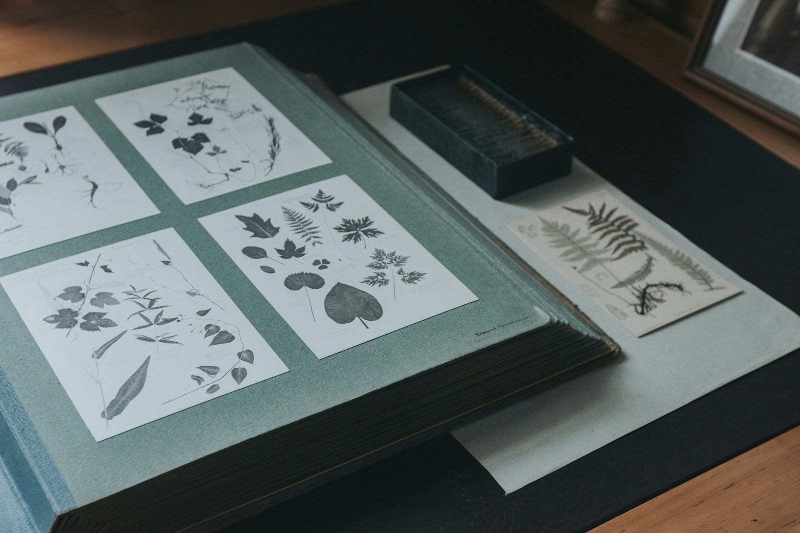 Communication design for professional dockets used in presentations and proposals