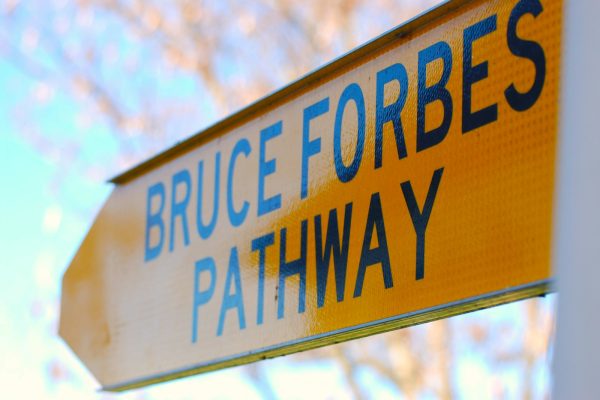 Signage maker for directional, informative, and safety signs