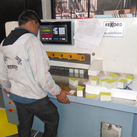 Technician operating industrial printing machine for professional printing services